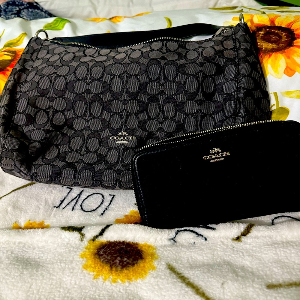 Coach hobo bag and wallett